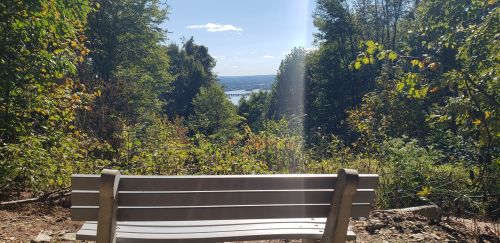 A wooden bench overlooks a scenic view of trees and a river under a bright blue sky.