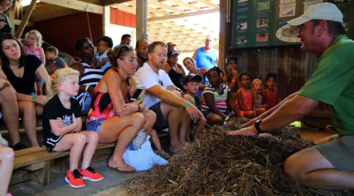 A group of people watches a presenter demonstrate something on a pile of straw in a barn setting.