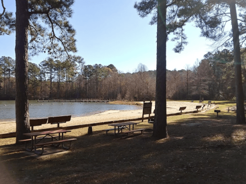 A serene lakeside view with sandy beach, picnic tables, and trees under a clear blue sky.