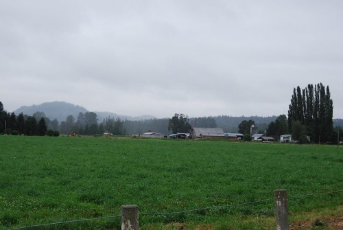 A green field stretches out with a farm and trees in the background under a cloudy sky.