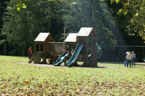 A wooden playground with slides and swings, surrounded by trees and fallen leaves, with children playing nearby.