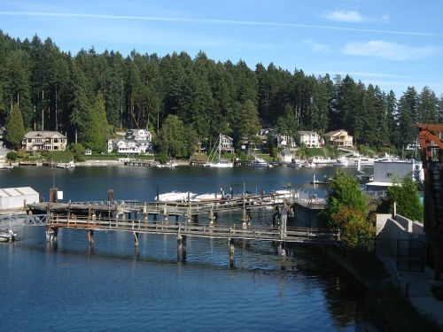A serene waterfront scene with boats docked, surrounded by lush trees and charming houses along the shore.