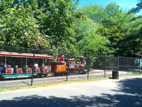 A colorful miniature train travels along a track surrounded by lush greenery and a chain-link fence.
