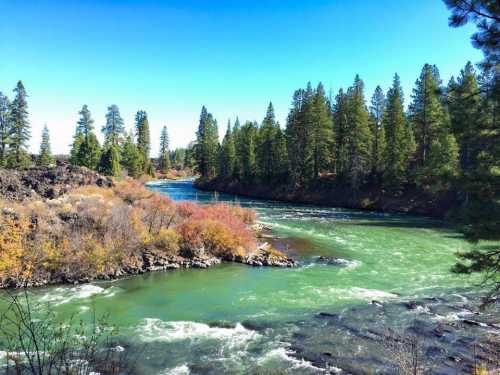 A serene river flows through a forested landscape, surrounded by green trees and colorful autumn foliage under a clear blue sky.