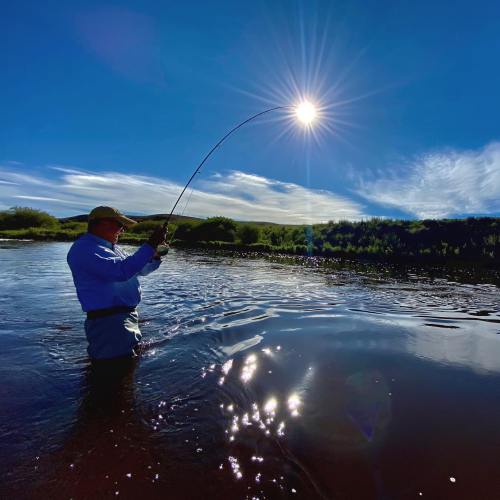 A person fishing in a river, with the sun shining brightly overhead, creating a sparkling reflection on the water.