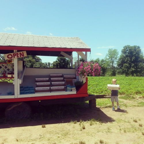 A child stands in front of a small open market stall with flowers, surrounded by green fields under a blue sky.
