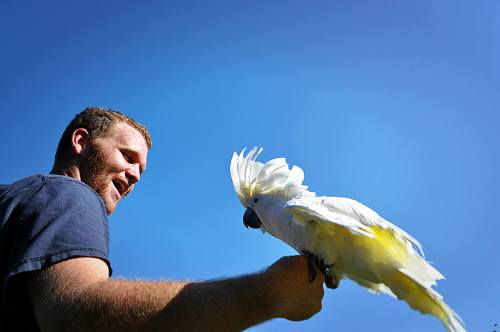 A man smiles while holding a white cockatoo against a clear blue sky.