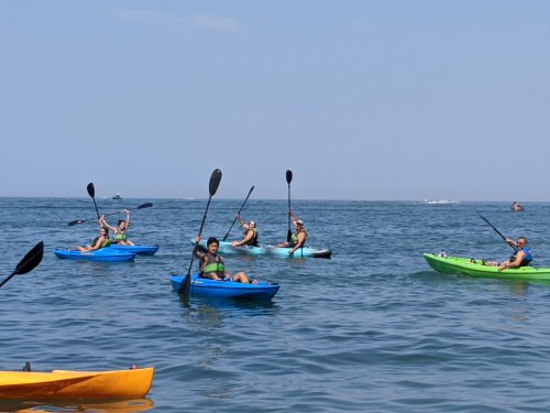 A group of people kayaking in colorful kayaks on a calm ocean under a clear blue sky.