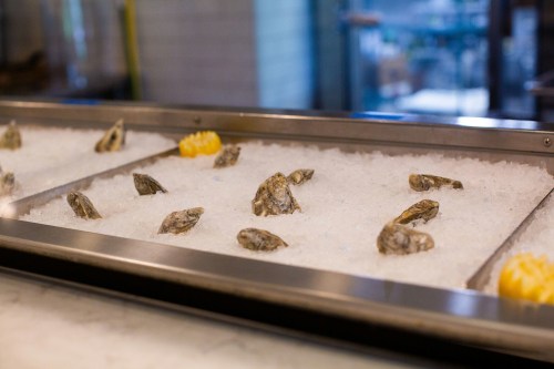 A display of fresh oysters on ice, arranged neatly in a metal tray.