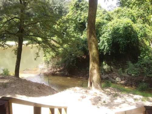 A serene riverbank scene with lush greenery and trees surrounding a calm waterway.