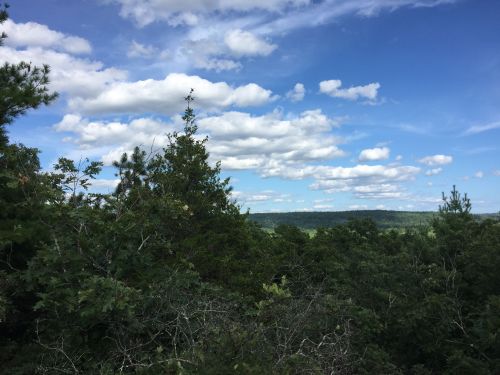 A scenic view of lush green trees under a blue sky with fluffy white clouds and distant hills.