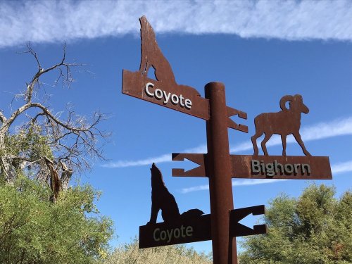 Signpost with silhouettes of a coyote and bighorn sheep, pointing in different directions against a blue sky.