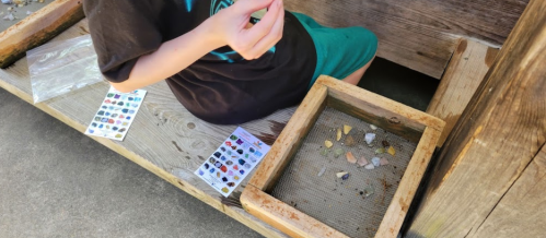 A child sifts through small rocks and minerals at a wooden station, with identification cards nearby.