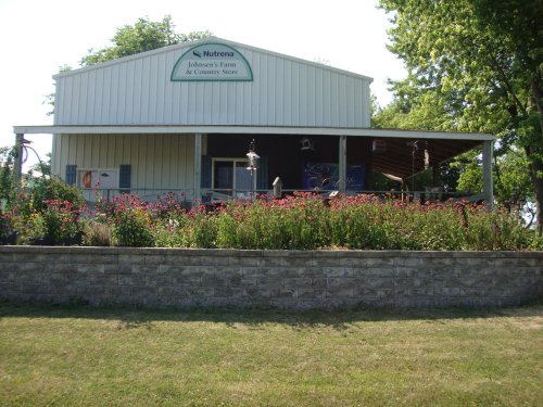 A country store with a white metal roof, surrounded by colorful flowers and greenery, set against a clear blue sky.