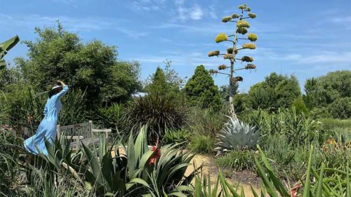 A woman in a blue dress stands in a lush garden with various plants and a tall flowering tree under a clear blue sky.