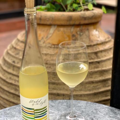 A bottle of white wine with a glass beside it, set against a background of a potted plant.