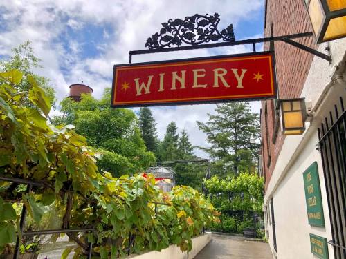 A red sign reading "WINERY" hangs above a path lined with green vines and trees under a cloudy sky.
