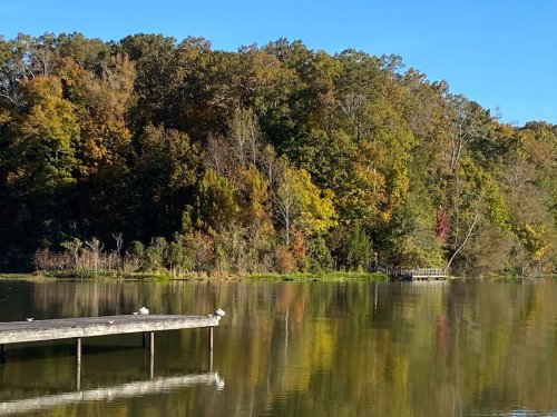 A serene lake surrounded by colorful autumn trees, with a wooden dock extending into the calm water.