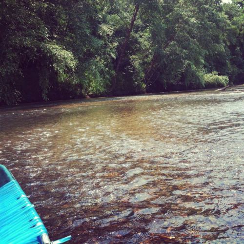 A serene river scene with lush green trees lining the banks and gentle ripples on the water's surface.