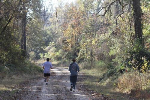 Two people jogging on a dirt path surrounded by trees and autumn foliage.