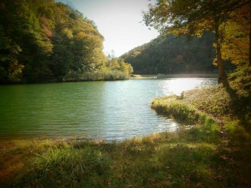 A serene lake surrounded by trees in autumn, with sunlight reflecting on the water's surface.