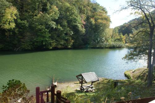 A serene lake surrounded by lush trees, with a picnic table and bench on the shore under a clear blue sky.