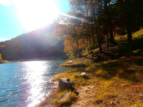 A serene lake surrounded by trees, reflecting sunlight, with autumn foliage and a sandy shore.
