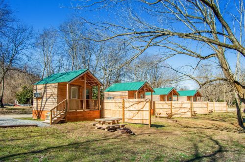 Four wooden cabins with green roofs, surrounded by trees and picnic tables, under a clear blue sky.