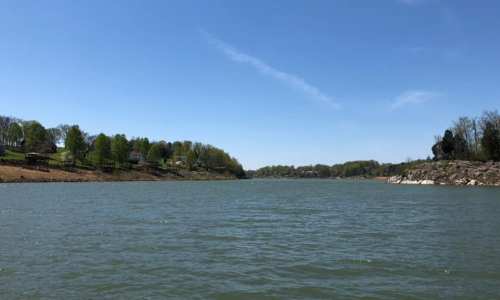 A serene lake scene with clear blue skies, green trees lining the shore, and gentle ripples on the water's surface.