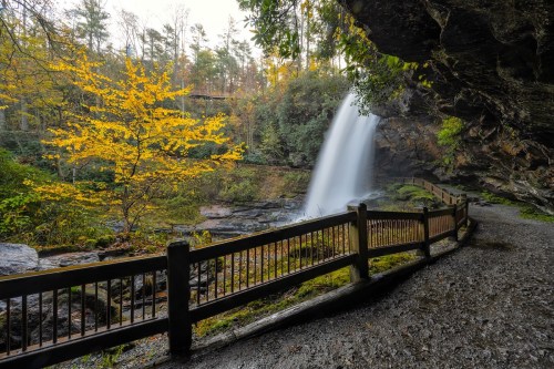 A serene waterfall cascades down rocks, surrounded by lush greenery and autumn trees, with a wooden fence along a path.