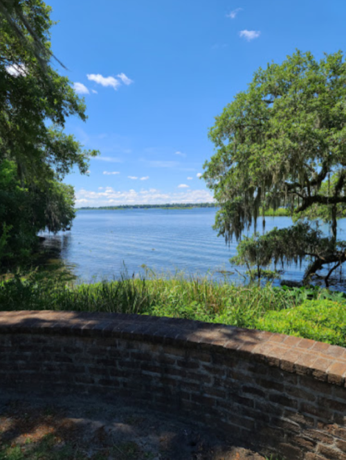 A serene lake view with lush greenery and blue skies, featuring trees and moss along the water's edge.