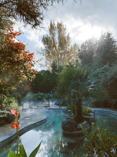 A serene outdoor scene featuring a misty pool surrounded by lush greenery and colorful trees under a cloudy sky.