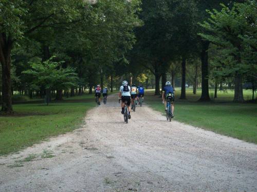 A group of cyclists riding on a gravel path through a tree-lined park.