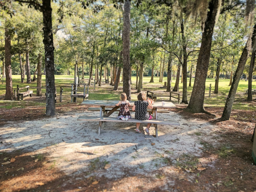 Two children sit on a picnic table in a wooded park, surrounded by trees and open grassy areas.