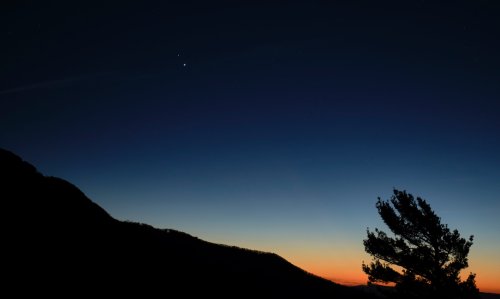 A serene twilight scene with a silhouette of a tree against a gradient sky transitioning from orange to deep blue.