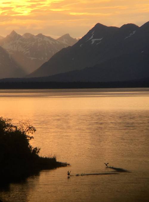 Sunset over mountains reflecting in calm water, with two birds flying above the surface.