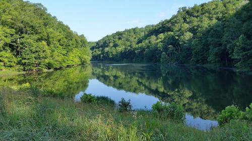A serene lake surrounded by lush green trees, reflecting the landscape on a clear day.