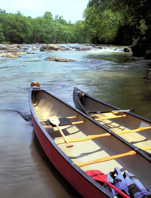 Two canoes on a calm riverbank, surrounded by lush green trees and gentle water currents.