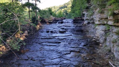 A serene river flows over rocky terrain, surrounded by lush greenery and trees under a clear blue sky.