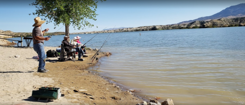 A group of people fishing by a lake on a sunny day, with trees and mountains in the background.