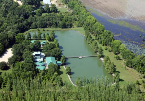 Aerial view of a green pond surrounded by trees, with a building and a bridge visible nearby.