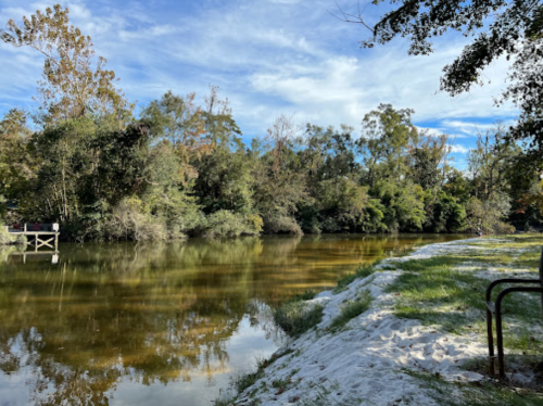 A serene river scene with lush trees, a sandy bank, and a clear blue sky reflecting on the water's surface.