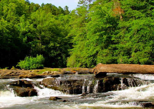 A serene river flows over rocky terrain, surrounded by lush green trees and a fallen log.