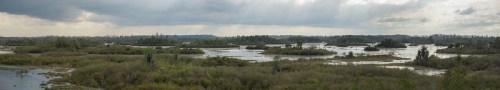 A panoramic view of a lush wetland with water, islands, and overcast skies in the background.