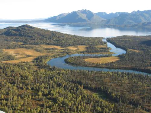 Aerial view of a winding river surrounded by lush green forests and mountains, reflecting in a calm lake.