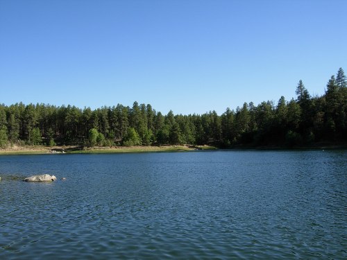 A serene lake surrounded by lush green trees under a clear blue sky.