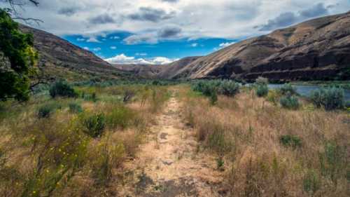 A scenic view of a grassy path leading through hills, with a river and cloudy blue sky in the background.