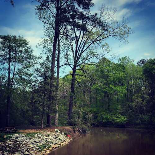 A serene lakeside scene with tall trees, lush greenery, and a rocky shore under a blue sky.