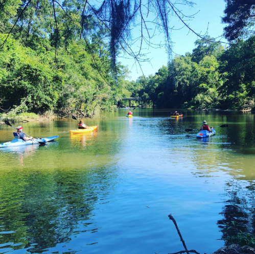 A serene river scene with several kayakers paddling among lush greenery under a clear blue sky.