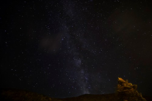 A starry night sky filled with stars and the Milky Way, with a silhouette of a tree in the foreground.